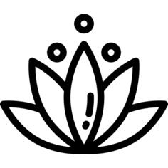 Meditation