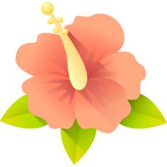 Hibiscus