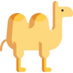 Camel