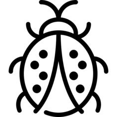 Ladybug