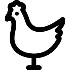 chicken
