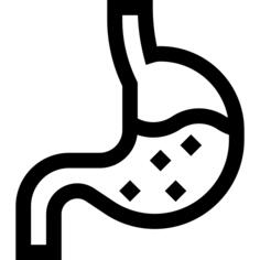 Stomach