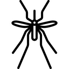 Big Mosquito