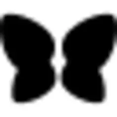 Butterfly wings couple