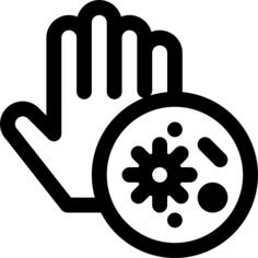 Bacteria