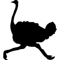 Ostrich Bird shape running