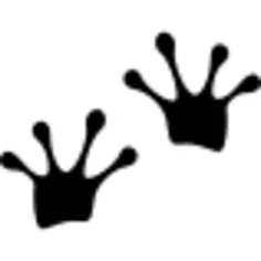 Frog Prints