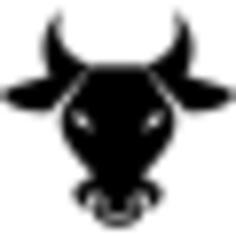 Bull frontal head