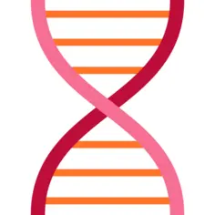 Dna structure