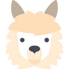Llama