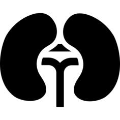 Kidneys