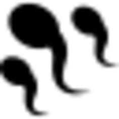 Sperm