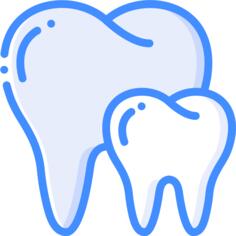Teeth