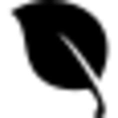 Leaf black natural shape