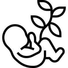 Embryo