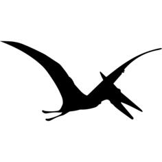 Pterodactyl dinosaur bird shape
