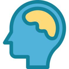 Brain