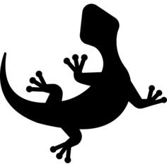 Curved Lizard