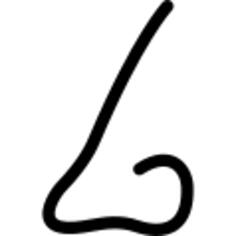 Male nose shape of a line