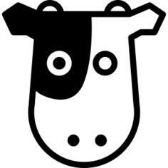 Cow frontal head