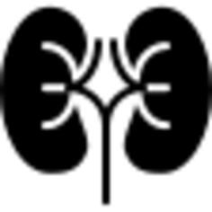 Kidney