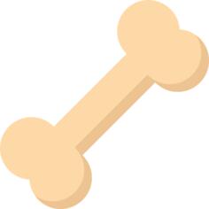 Bone