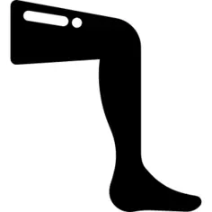 Leg
