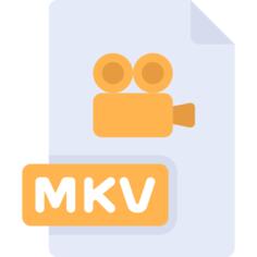 Mkv