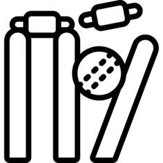 Cricket
