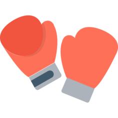 Boxing gloves