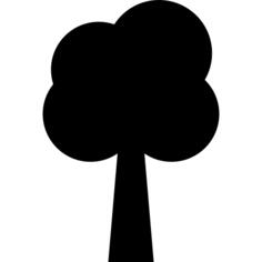 Plain tree