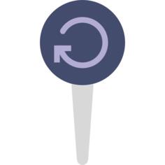 Pin