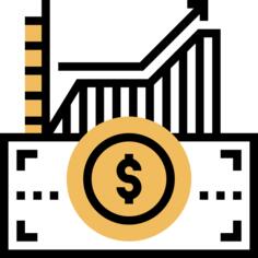 Capital