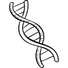 DNA
