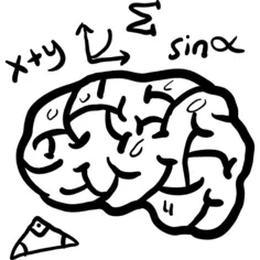Brain