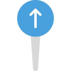 Pin