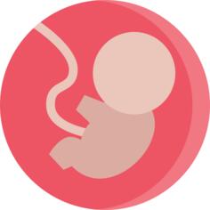 Fetus