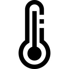 Mercury thermometer