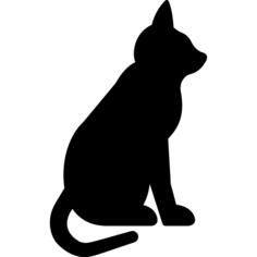 Sitting Cat