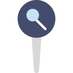 Pin