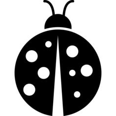 Spotted beetle insect of a garden