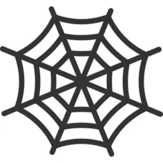 Spider web