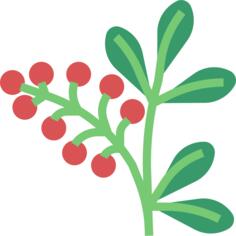 Berries