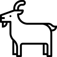 Goat