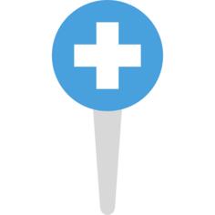 Pin