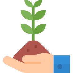 Growth