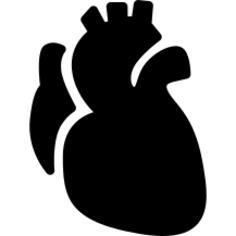 Anatomic Heart