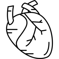 Human Heart