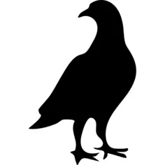 Pigeon bird shape