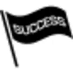 Success flag